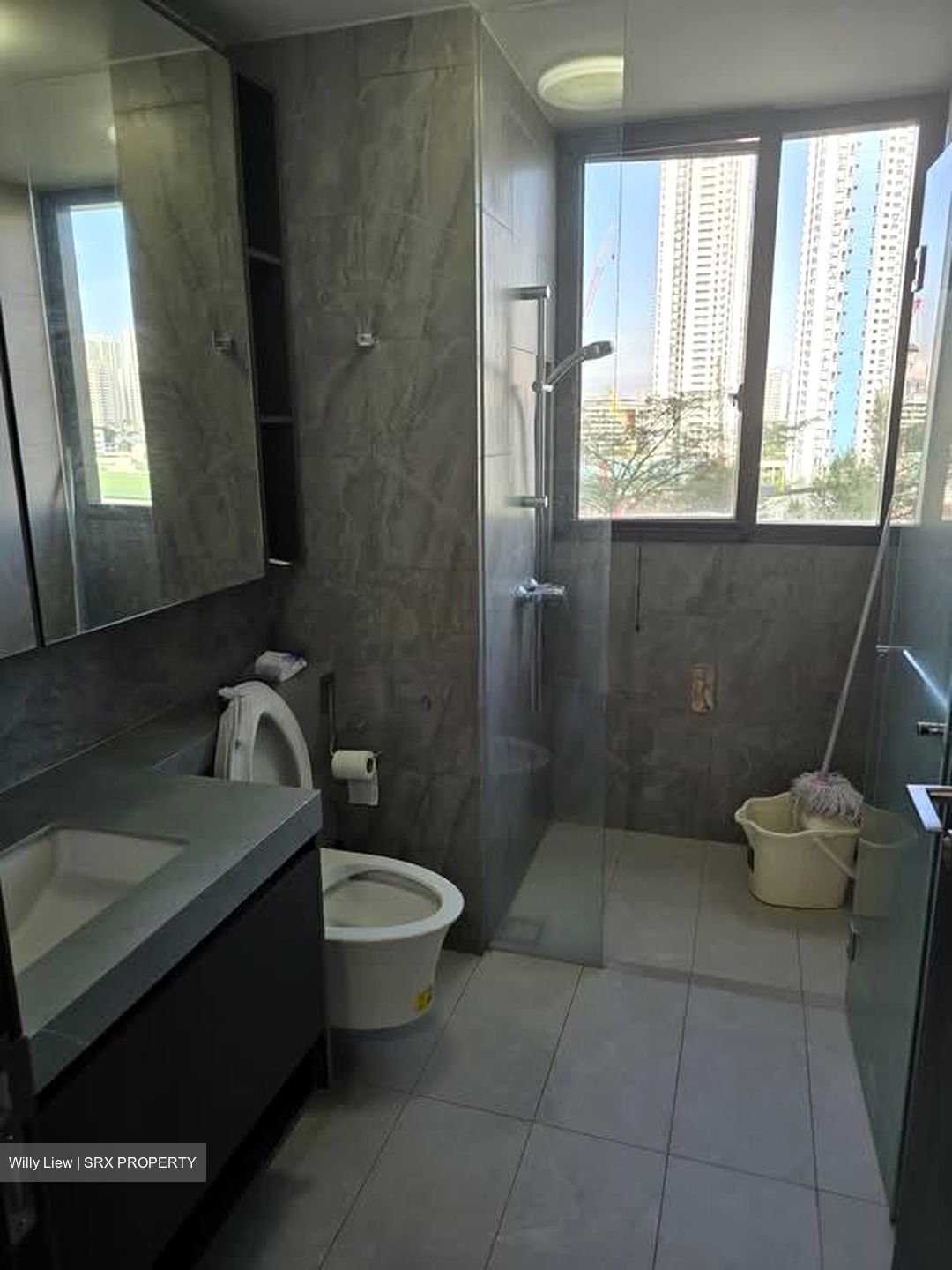 Parc Clematis (D5), Apartment #597652701